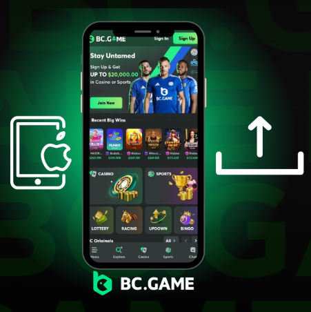 The Importance of KYC in BC Game The Importance of KYC in BC Game