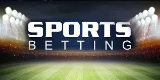 Exploring the Betting World Insights from betandreas-now.com