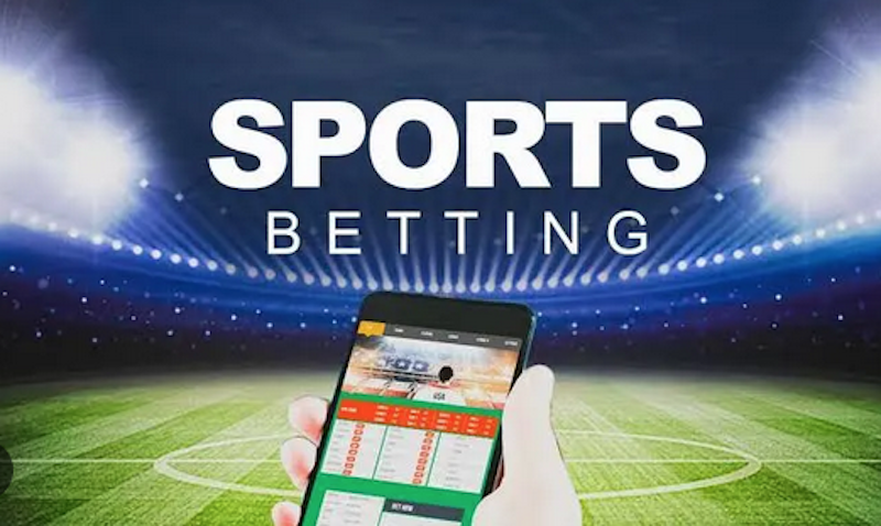 The Ultimate Guide to Bet Kumi Your Winning Strategy