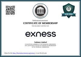 Understanding Exness Member Login A Guide for Users