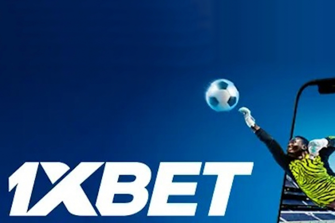 CasinoInsights Exploring the World of Online Gambling 580605394