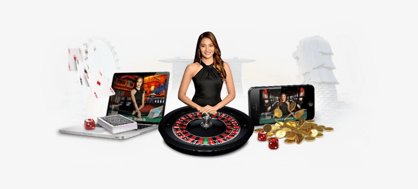 The Thrills of Live Roulette Your Guide to the Best Online Experience